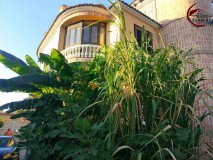 Foto39