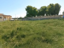 Foto6