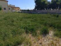 Foto10