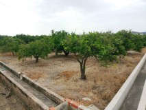 Foto8
