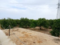 Foto2