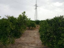 Foto9