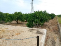 Foto1