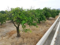 Foto4