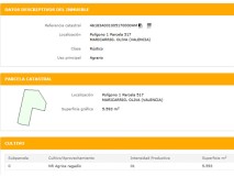 Foto3