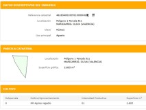 Foto4