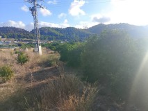 Foto10