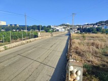 Foto11