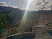 Foto8