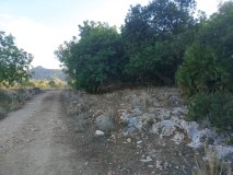 Foto17