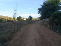Foto20