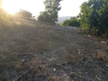 Foto23