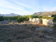 Foto21