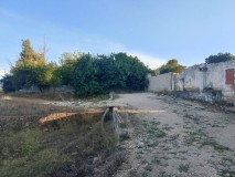 Foto7