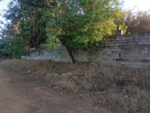 Foto16