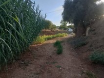 Foto12