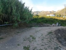 Foto13