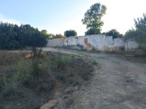 Foto1