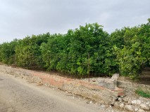 Foto7