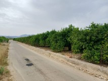 Foto5
