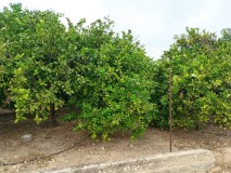 Foto3