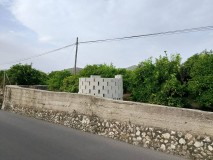 Foto5