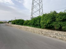 Foto6