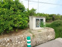 Foto7