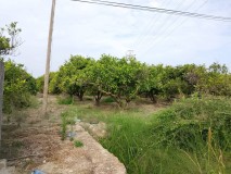 Foto9