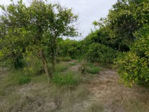 Foto8