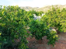 Foto5