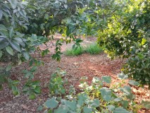 Foto10