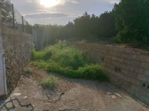 Foto12
