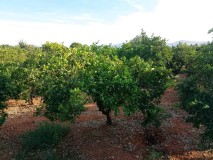 Foto4