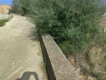 Foto3