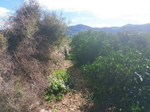 Foto14