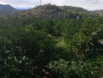Foto13