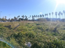 Foto4