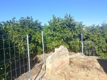 Foto8