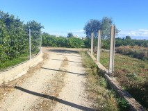 Foto5
