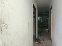 Foto11
