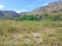 Foto3