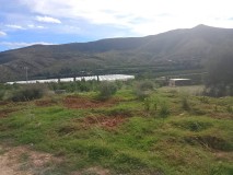 Foto7