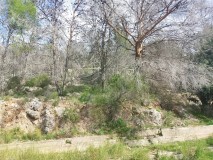 Foto10
