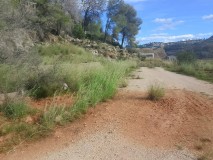 Foto5