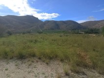Foto8