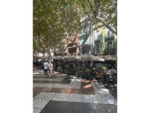 Foto5