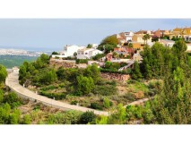 Foto4