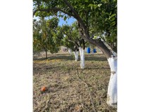 Foto6