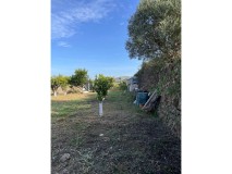 Foto11